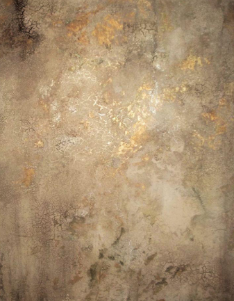 Close-up of a textured plaster wall finish (illustrative image)